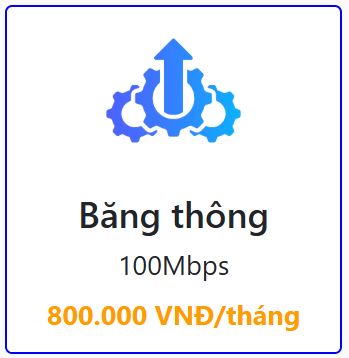 Băng thông 100Mbps